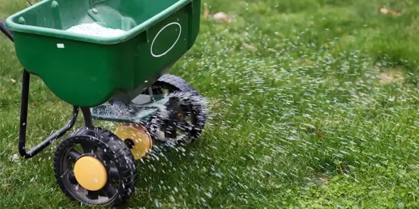 fertilizing a lawn